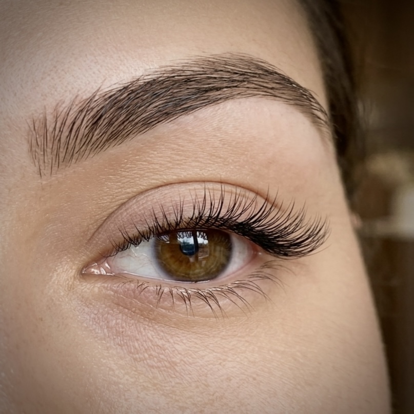 Lashes & Brows